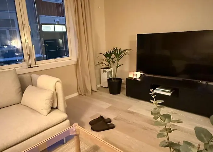 Апартаменты Delicate Тронхейм